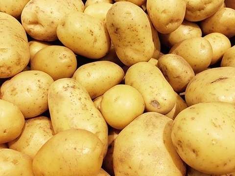 Ученые призывают к «скорейшей переоценке» роли картофеля в нашем рационе