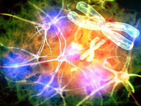 Выяснилось, что клетки мозга взрослых содержат тысячи мутаций
