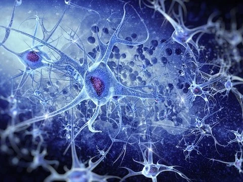 Инновационная 3D-карта мозга позволяет рассмотреть клетки в наномасштабе