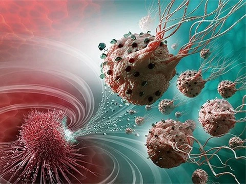 Бактерии-перевозчики смогут транспортировать лекарство в нужную часть опухоли