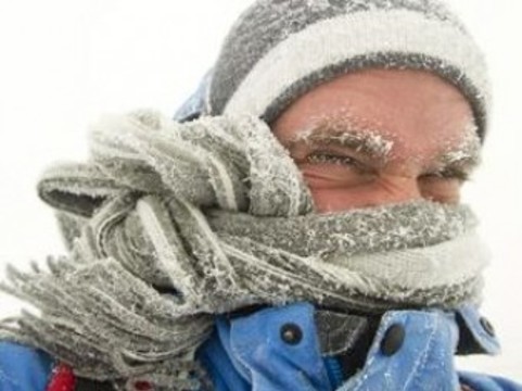 Самые интересные англоязычные статьи января