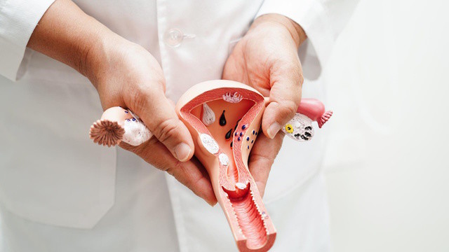 Ученые выяснили, почему рак яичников так быстро распространяется 