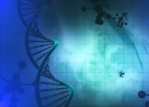 Американские генетики требуют запретить редактирование ДНК человеческих эмбрионов