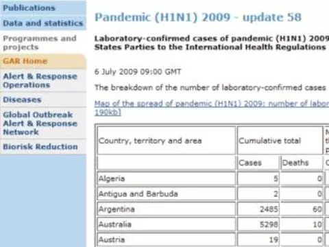 ВОЗ отказалась от подсчета [новых случаев гриппа H1N1]
