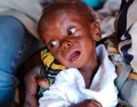 В Анголе нет новых случаев заболевания лихорадкой Марбург