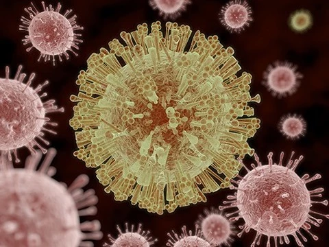 В США зафиксирован первый случай передачи вируса Зика половым путем