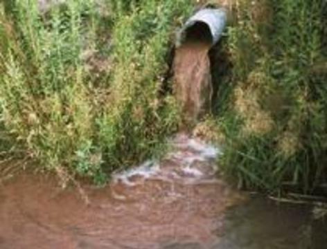 ВОЗ обновила свои стандарты чистой воды