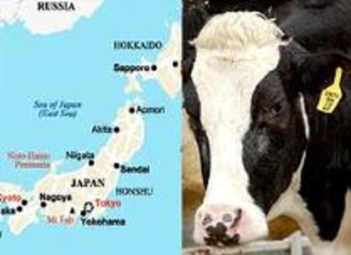 От коровьего бешенства умер первый японец