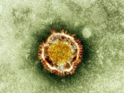 Новый коронавирус [впервые завезли в США]