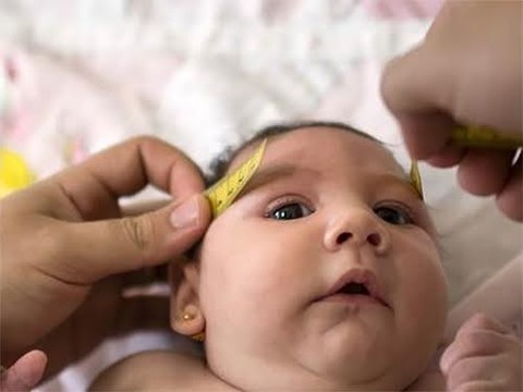Вирус Зика вызывает проблемы со зрением