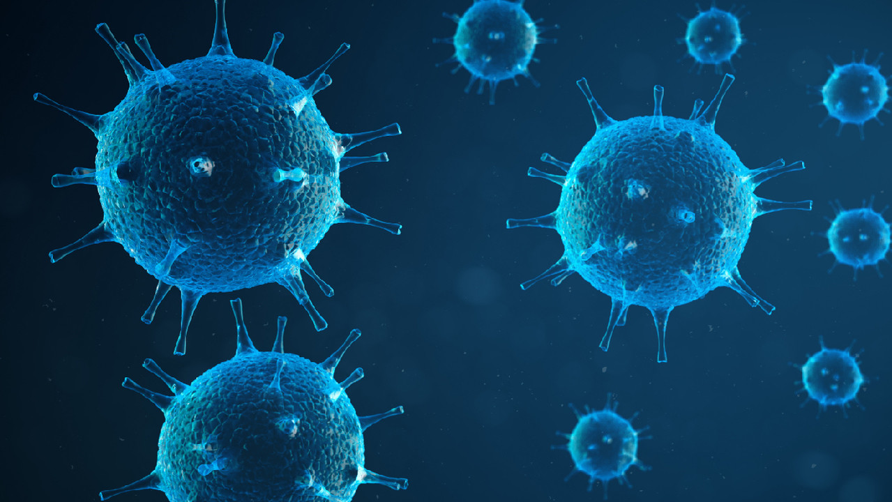 Старение и хронические вирусные инфекции оказывают схожее влияние на иммунитет