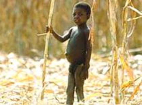 ООН: каждые 5 секунд от голода умирает один ребенок
