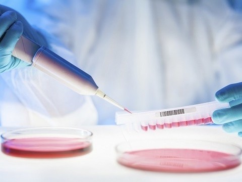 Персонализированное лечение при борьбе с раком действительно помогает