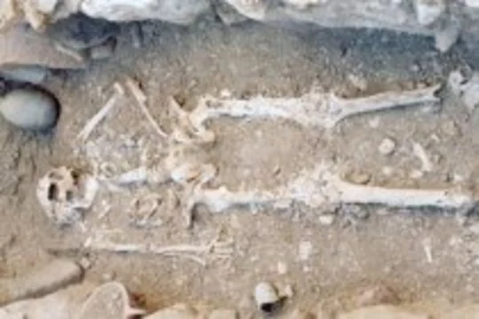 Американские антропологи обнаружили [древнейший скелет прокаженного]