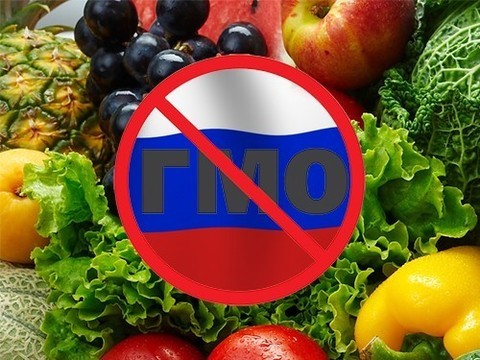 В России запретили выращивать ГМО