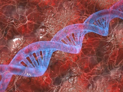 Генетика в большинстве случаев плохо предсказывает риск болезней