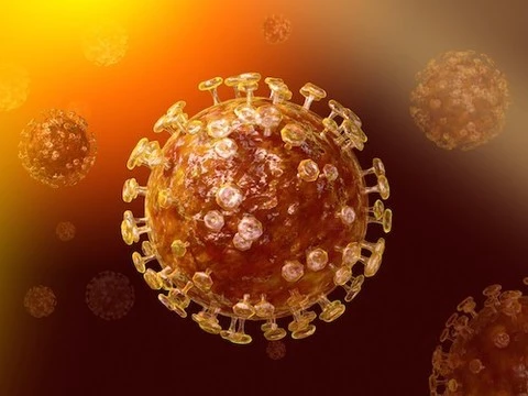 Вакцина от MERS успешно испытана на животных
