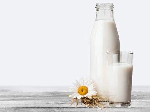 Обнаружены различия в составе органического и «неорганического» молока