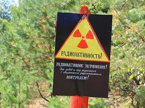 Новый препарат защищает от радиации через сутки после облучения