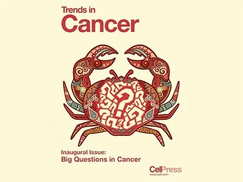 Восемь главных вопросов в изучении рака