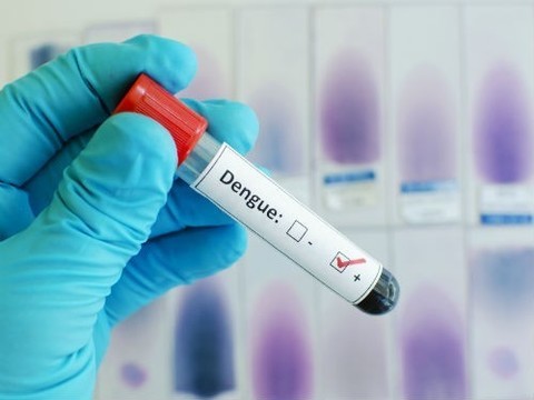 Первая вакцина от лихорадки денге регистрируется в Таиланде