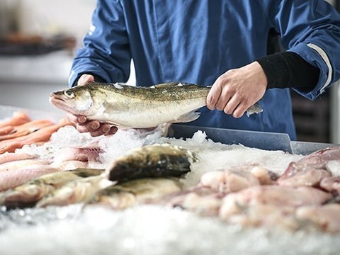 Что нужно знать о гельминтах, которыми мы рискуем заразиться при употреблении рыбы
