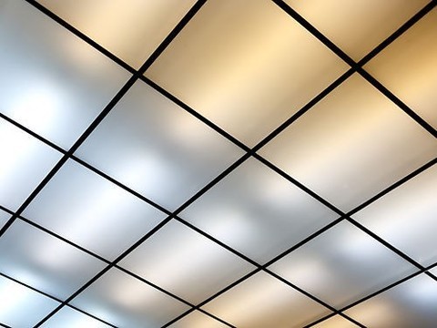 Искусственное освещение приводит к развитию ожирения