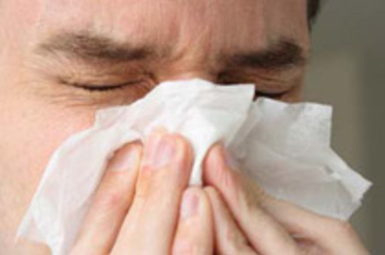 Эпидемия гриппа в РФ [прогнозируется в январе-марте]