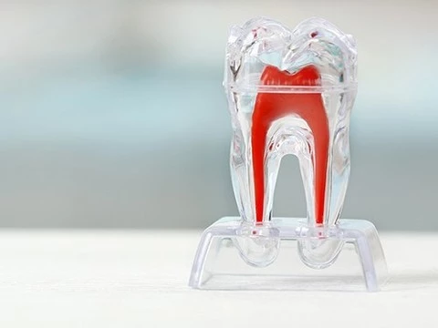 «Чистые зубы не болят»