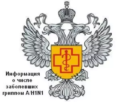 Число подтвержденных случаев гриппа H1N1 в России [достигло 211]