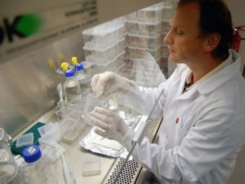 [Ученые сняли мораторий] на исследования вируса H5N1