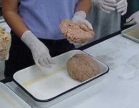 Китайцы смогут сохранить свой мозг после смерти