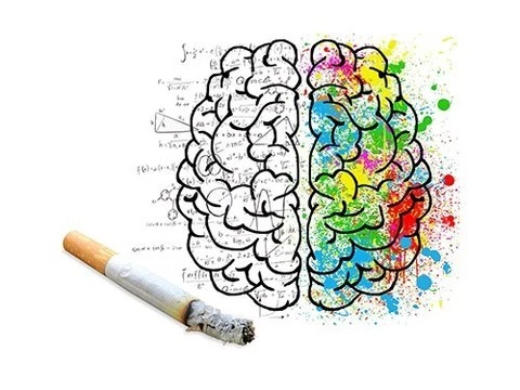 Как курение действует на мозг