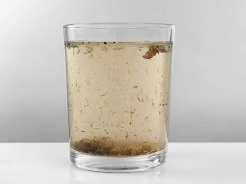 Бактерии, промотходы и фармакологические вещества: питьевая вода небезопасна во всем мире