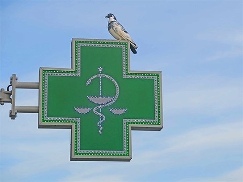 IQVIA: Большинство пациентов, имеющих право на льготные лекарства, покупает их самостоятельно
