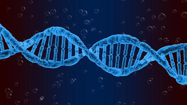 «Ген деменции» увеличивает риск тяжелого течения COVID-19 — выводы ученых