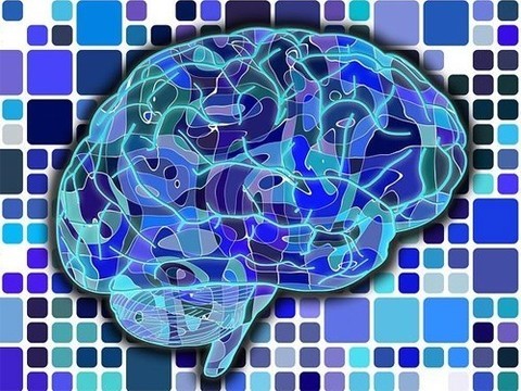 Появится ли таблетка для профилактики болезни Альцгеймера?