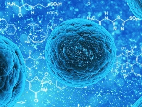 Рассеянный склероз начали лечить стволовыми клетками