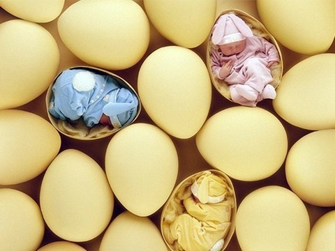 «На репродуктивную систему человека влияет каждый десятый его ген»