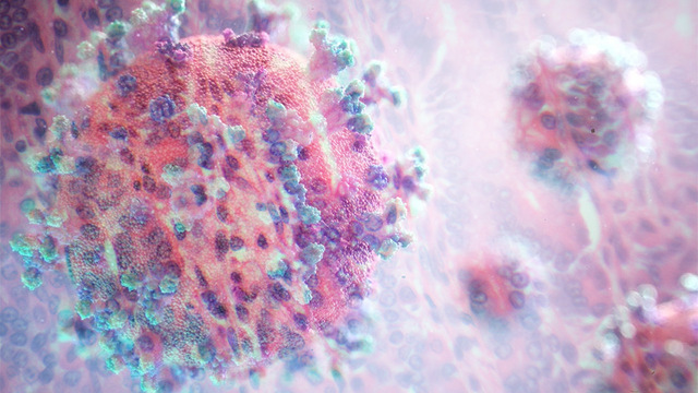 Ученые доказали, что коронавирус может инфицировать клетки кишечника людей