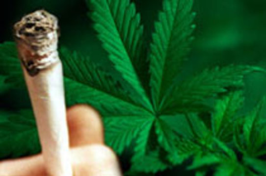 потенция и курение марихуаны
