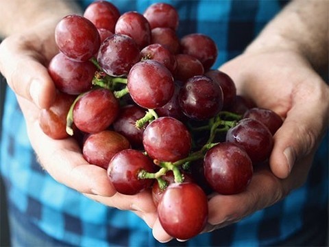 Диета может менять структуру органов и метаболизм на многие годы