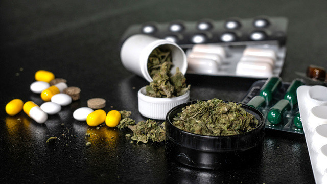 Употребление марихуаны может мешать лечению почек 