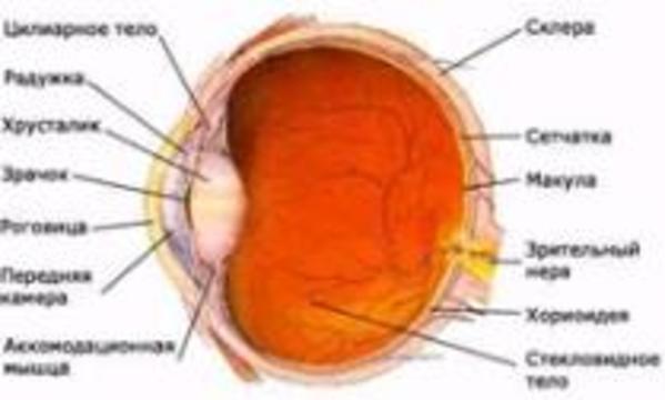 Новосибирские врачи создали новый способ лечения глазных болезней