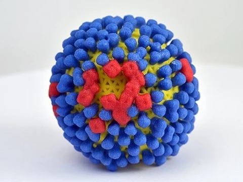 Вирусы гриппа могут становиться устойчивыми к лечению новым препаратом за несколько дней