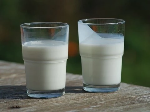 Роспотребнадзор рекомендовал не пить сырое молоко из-за энцефалита