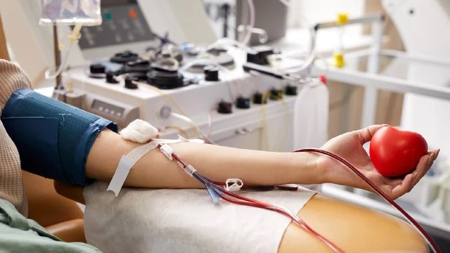 «Кровная честь»: как стать донором крови и плазмы в России
