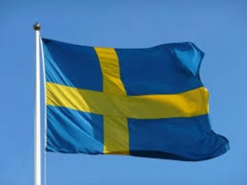 Швецию назвали [европейским лидером по половым инфекциям]