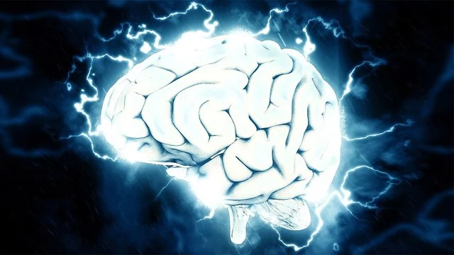 Американские ученые выяснили, где прячется стресс в человеческом мозге