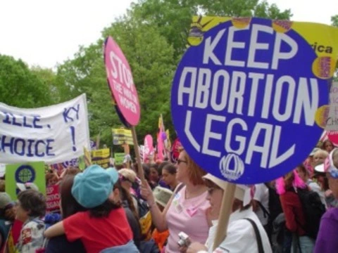 Международные организации призвали Госдуму [прекратить борьбу с абортами]